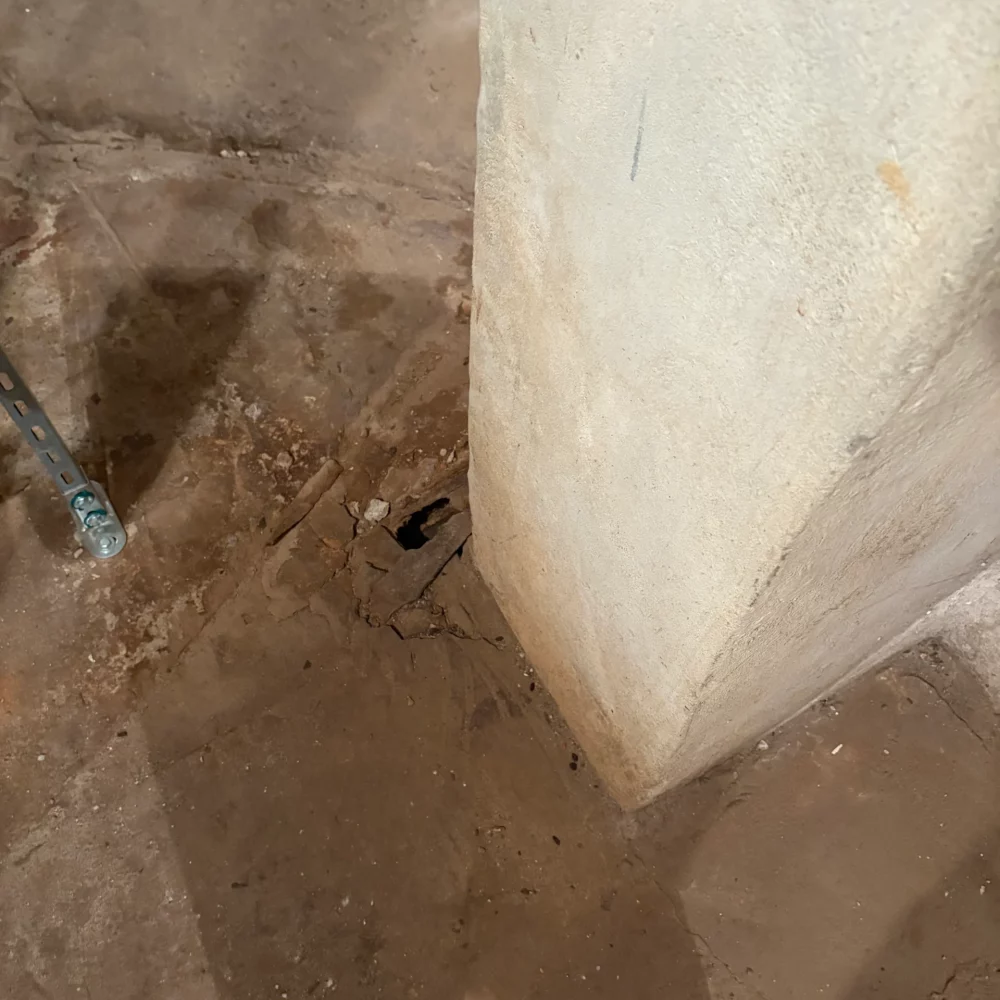 Gniazdo Szczurów w piwnicy Makos Pest Control Realizacja